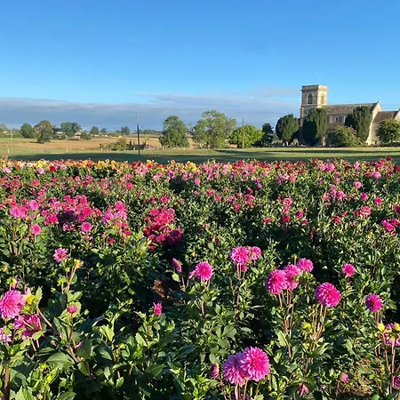 Nine Yards Family Glamping @ Farrington's Farm