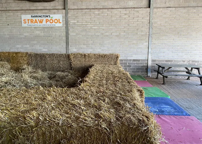 Nine Yards Family Glamping @ Farrington's Farm *