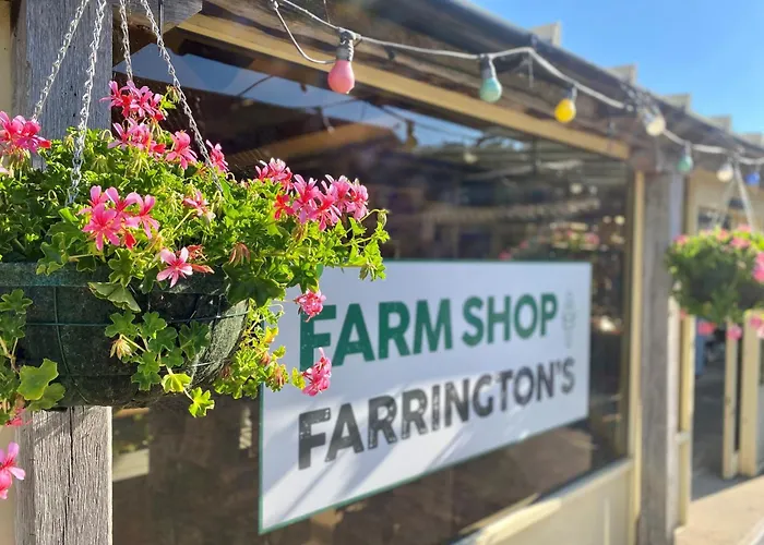 Luxury tent Nine Yards Family Glamping @ Farrington's Farm Bristol