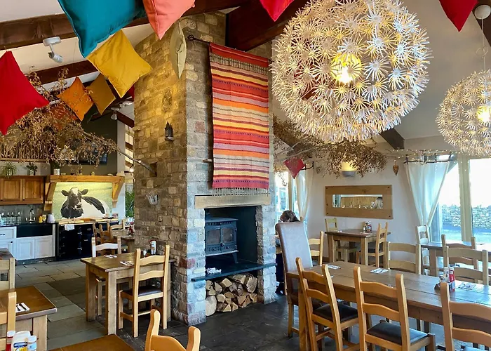 Nine Yards Family Glamping @ Farrington's Farm *