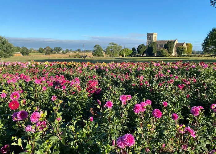 Nine Yards Family Glamping @ Farrington's Farm